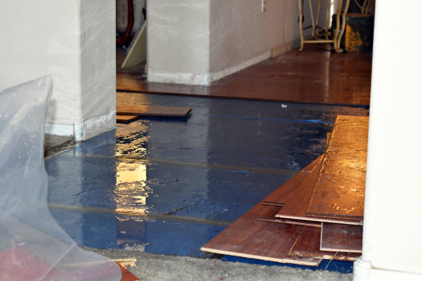 Professional Burst Pipe Cleanup technician working in Pottsville, PA